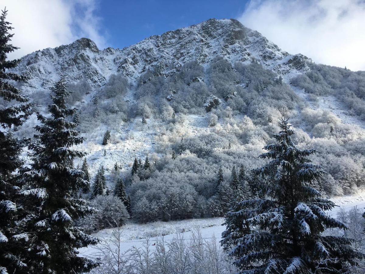 Val Di Luce - Delizioso Appartamento 6 Posti Letto - Accesso Diretto Alle Piste Da Sci Abetone Exteriér fotografie